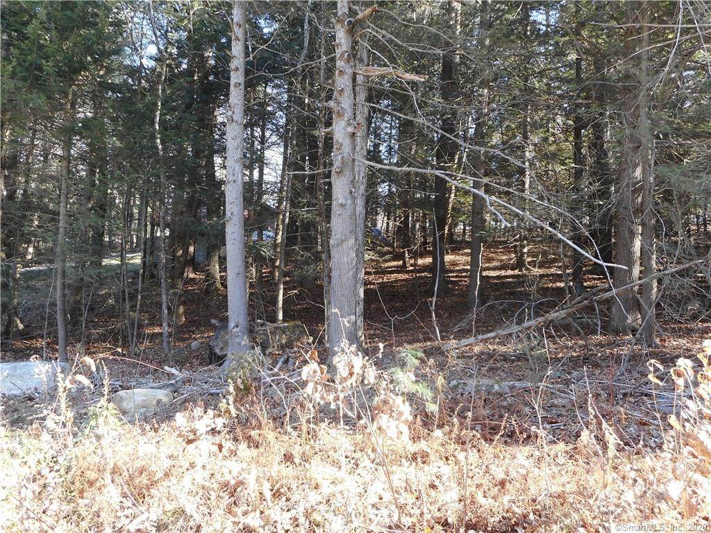0 Oak Drive - Photo 1