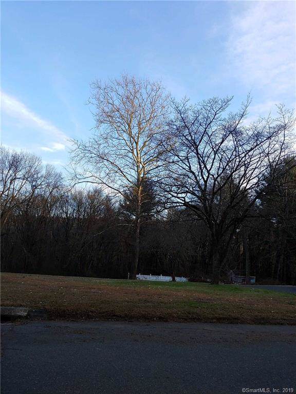 115 -109 Summit Farms Road - Photo 1