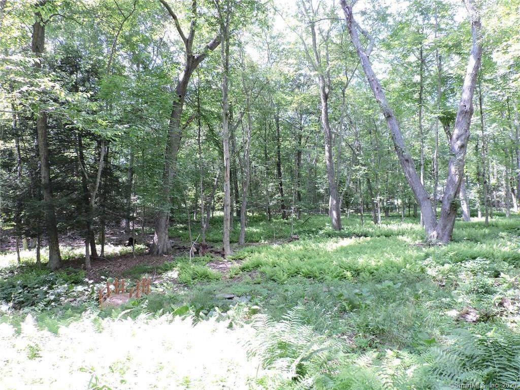 57 Kellogg Road - Photo 1