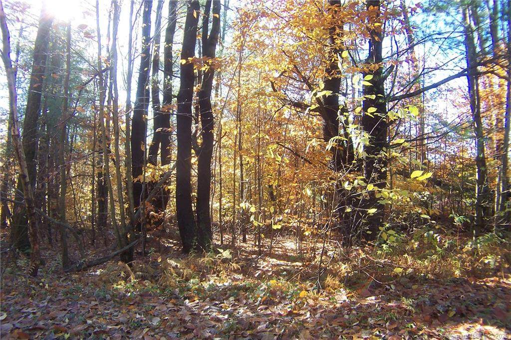 0 Bohun Map 45 Lot 15 Road - Photo 1