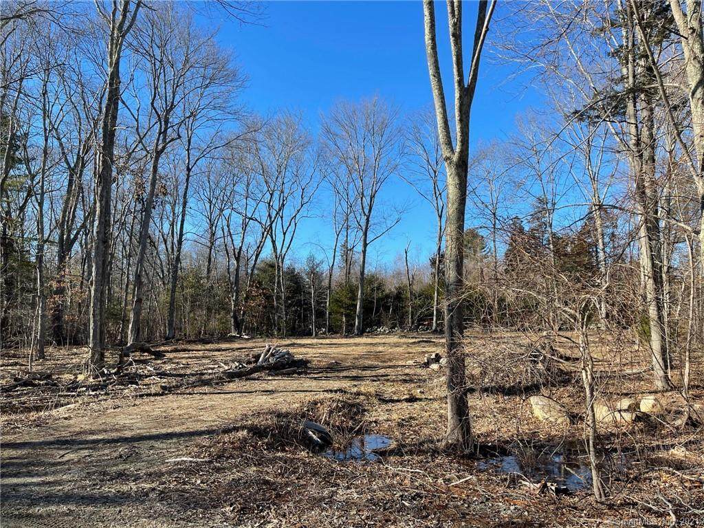 125 Mackin Drive - Photo 1