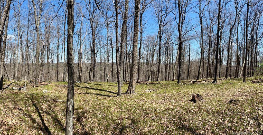 0000 Winsted-Norfolk Road - Photo 1