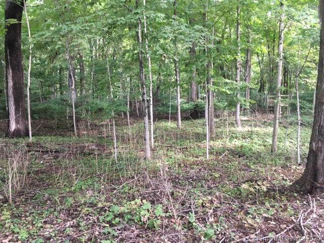7 River Road - Photo 1