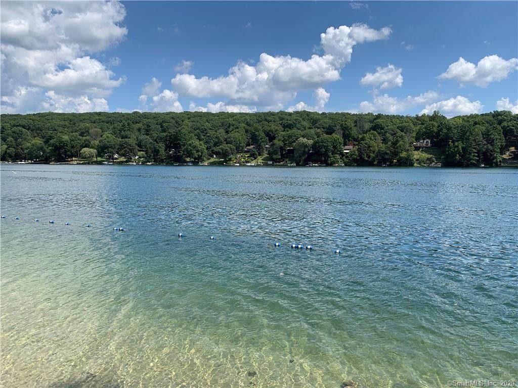 299 Candlewood Mountain Road - Photo 1