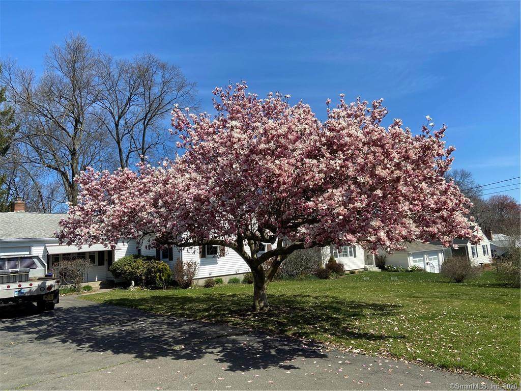 63 Crest Street - Photo 1