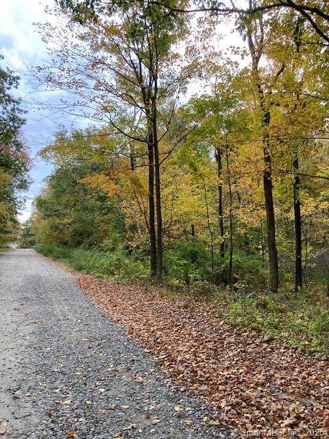 Lot 57 Anita Way - Photo 1