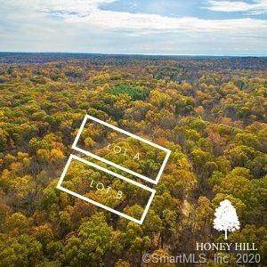 LOT a Honey Hill Road - Photo 1