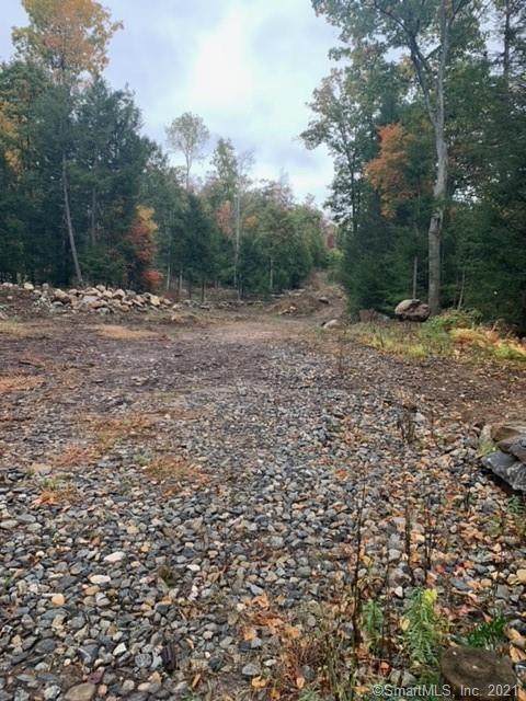 229 Old Monson Road - Photo 1
