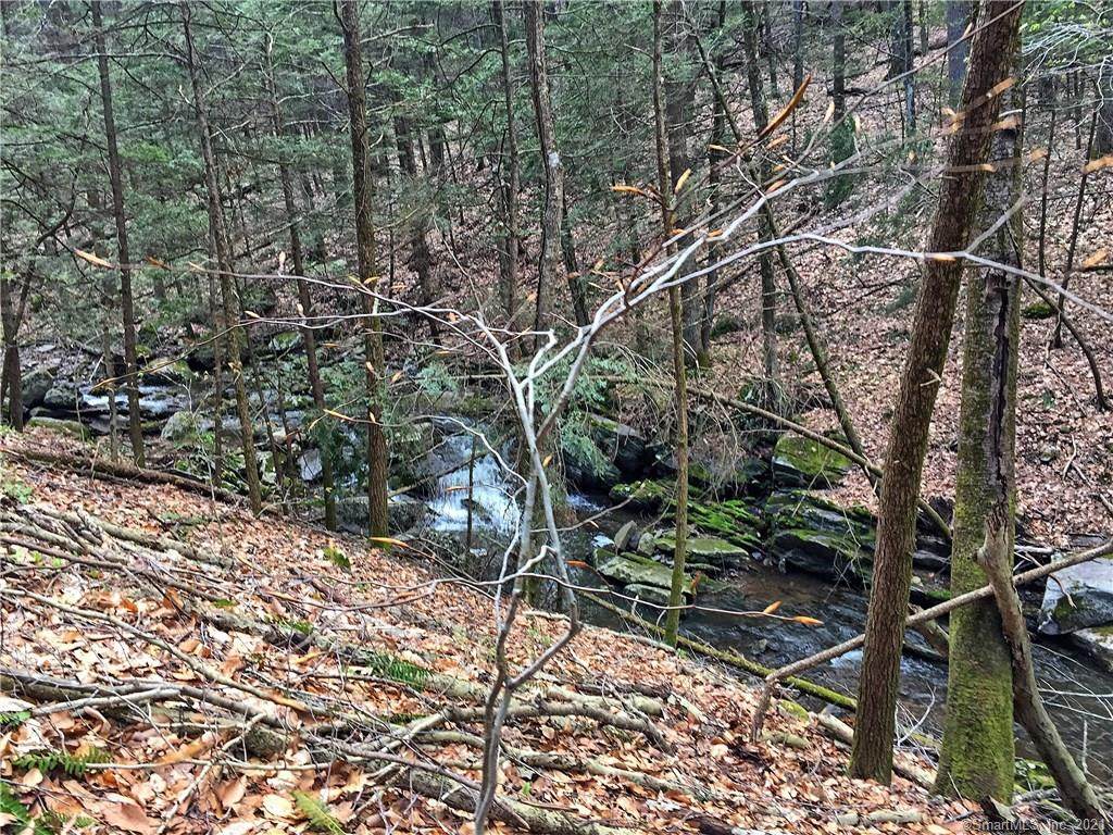 33 Woodcock Trail - Photo 1