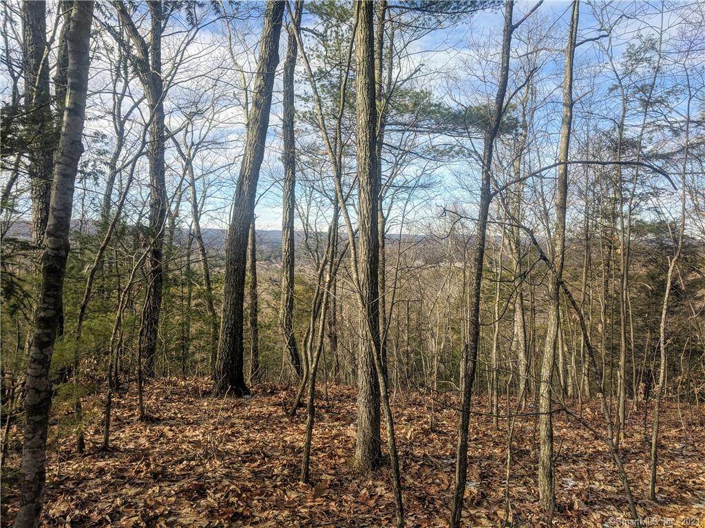 54 Notch Road - Photo 1