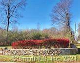 LOT 14 Syleo Lane - Photo 1