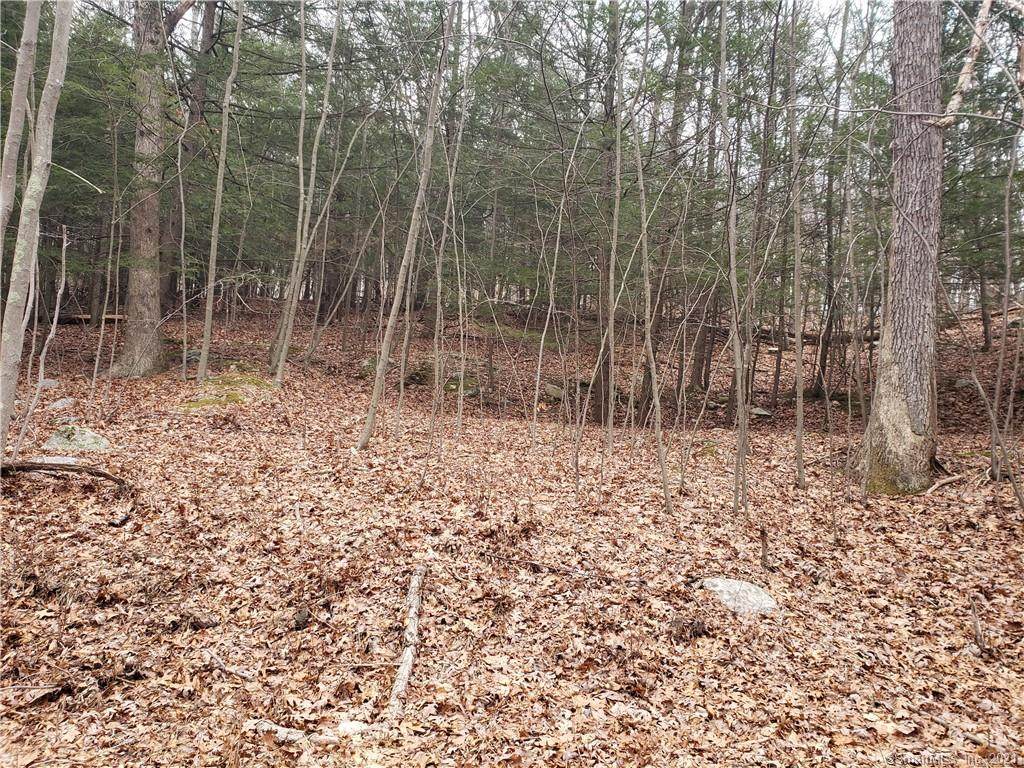 9 Turkey Hill Terrace - Photo 1