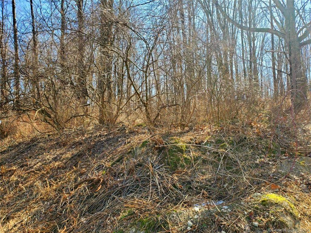 Lot54-8 Squash Hollow Road - Photo 1