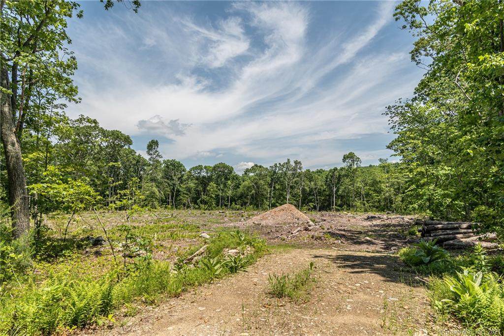 291 Lester Road - Photo 1