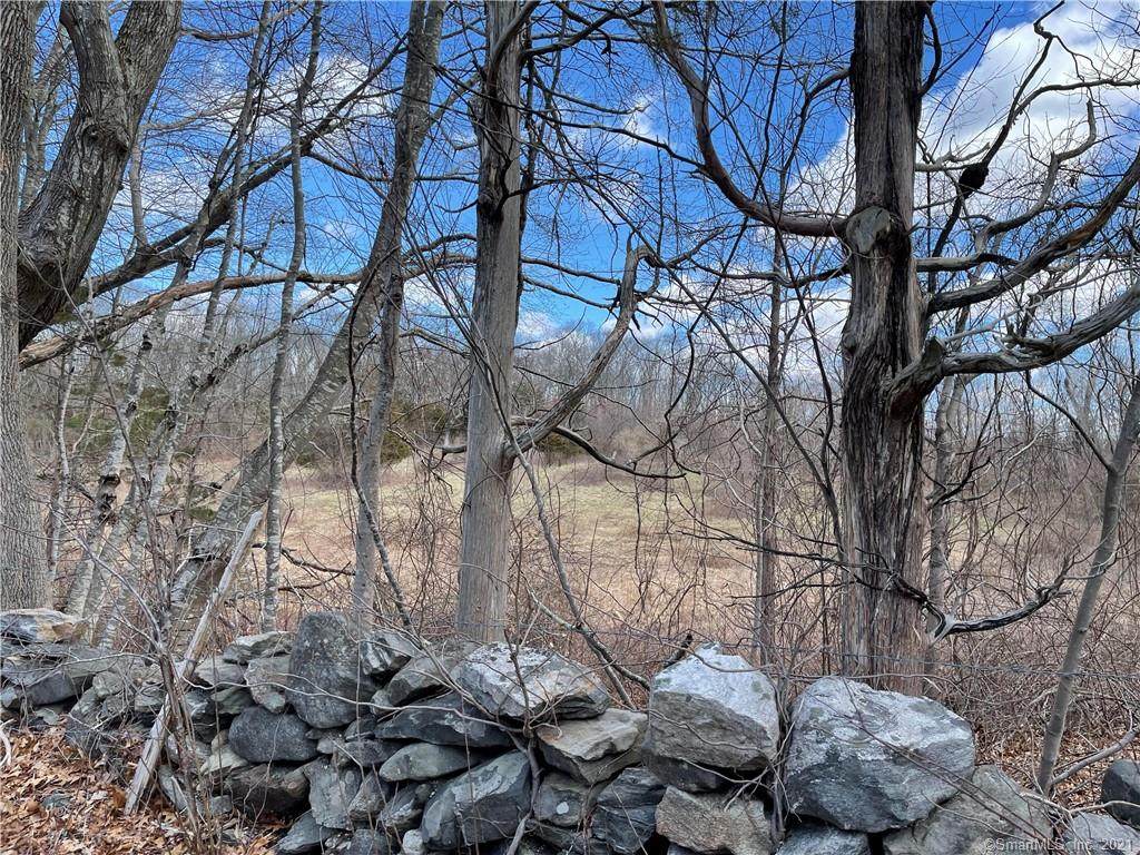 214 Krug Road - Photo 1
