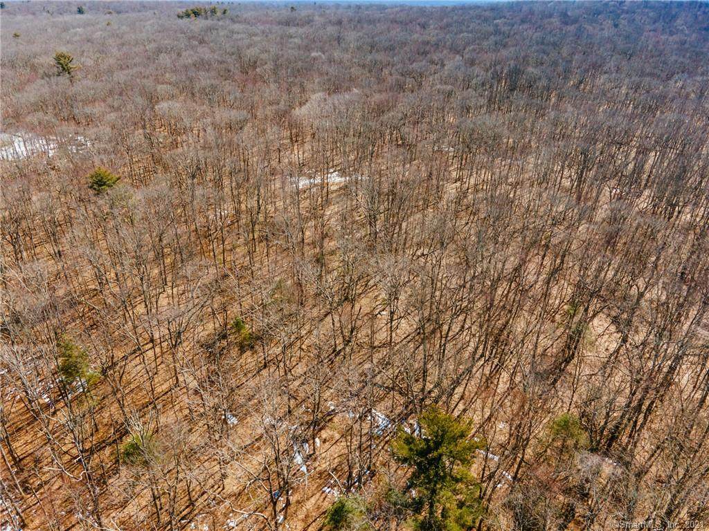 102 Warner Road - Photo 1