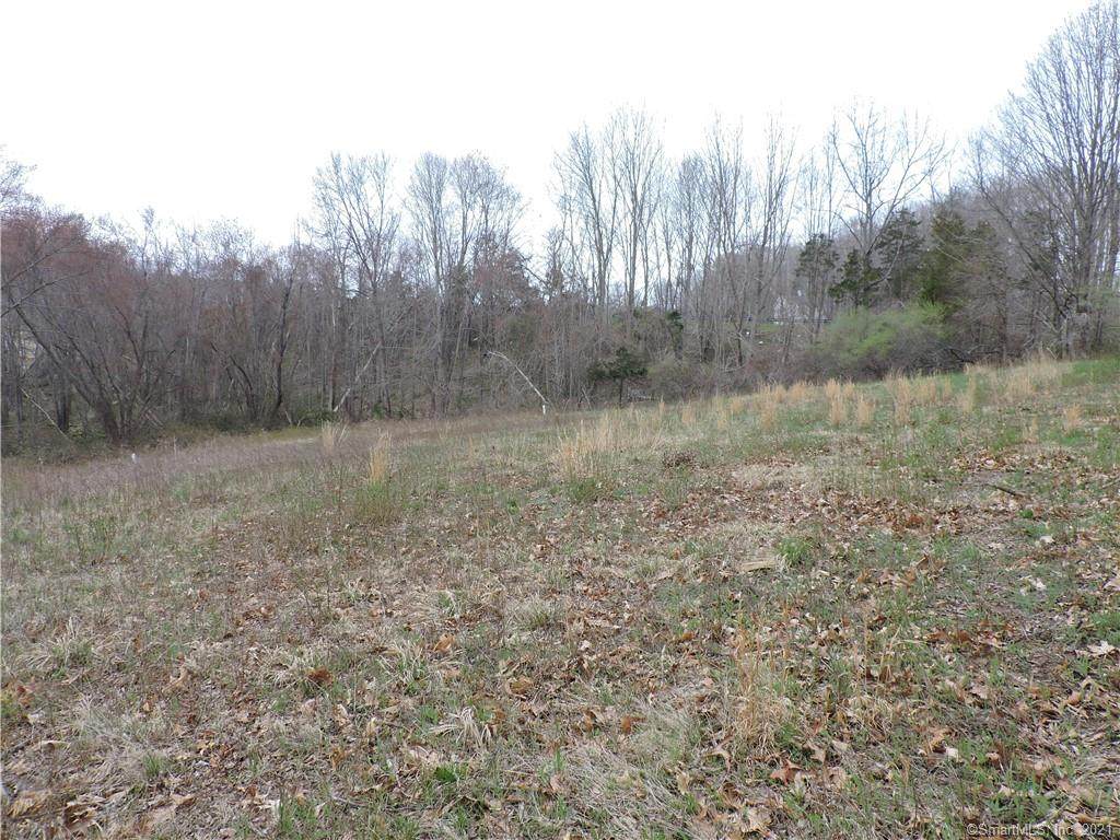 205 Bioski Road - Photo 1