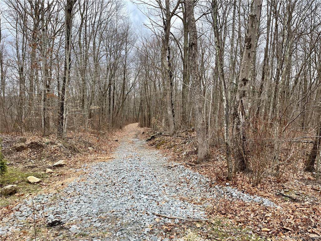 00 Usher Swamp Road - Photo 1