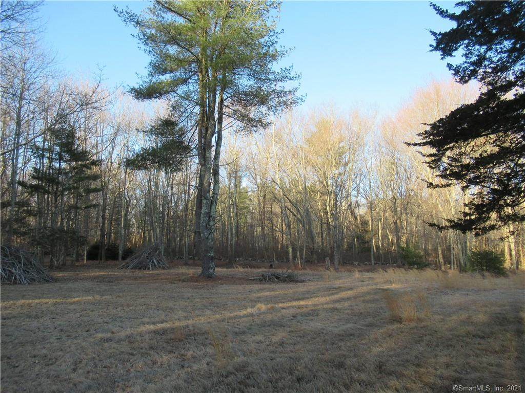 56 Cossaduck Hill Road - Photo 1