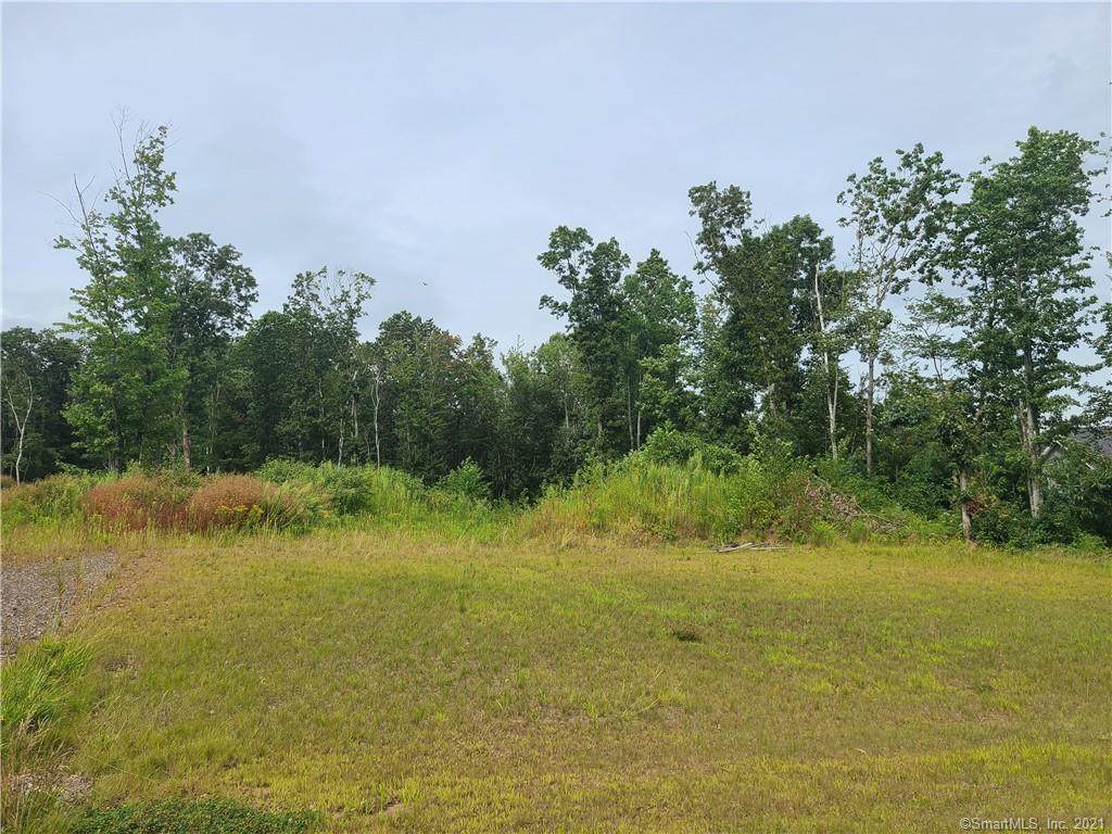 39 Brook Crossing Extension - Photo 1