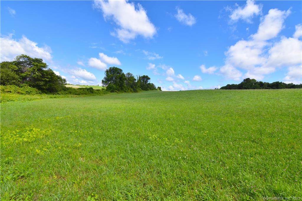28 Whiskers Lane - Photo 1