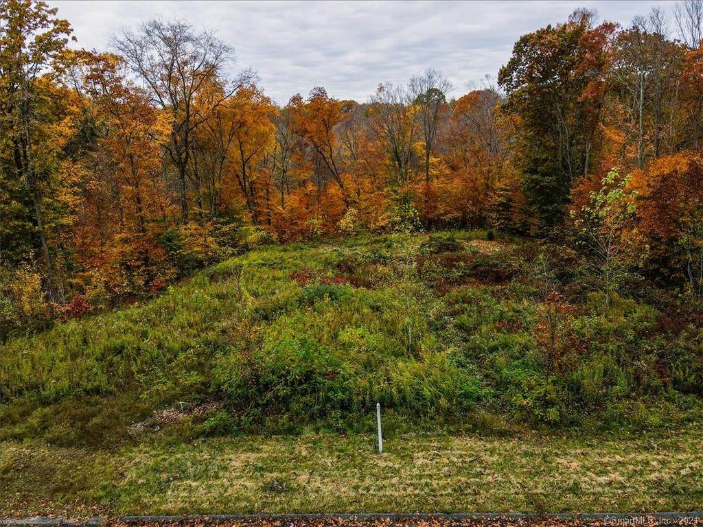 Lot 3 Curtiss Lane - Photo 1