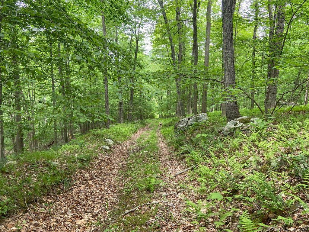 592 Bog Hollow Road - Photo 1