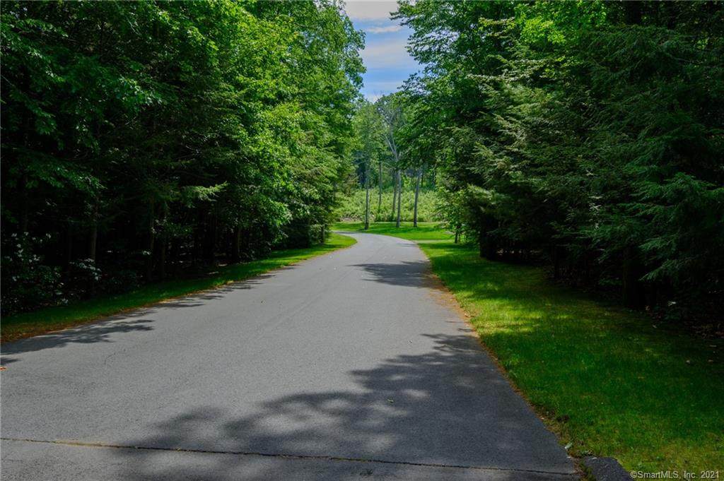 14 Mountain Springs - Photo 1