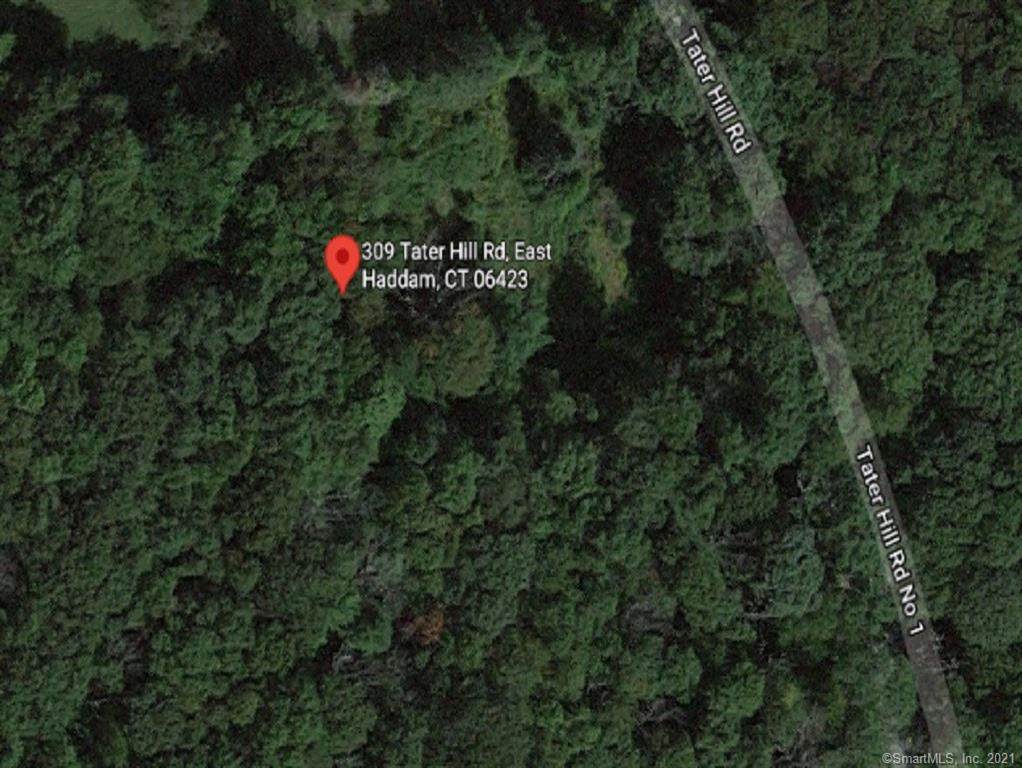309 Tater Hill Road - Photo 1