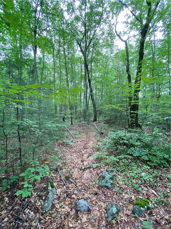39 Laurelwood Pond Lane - Photo 1