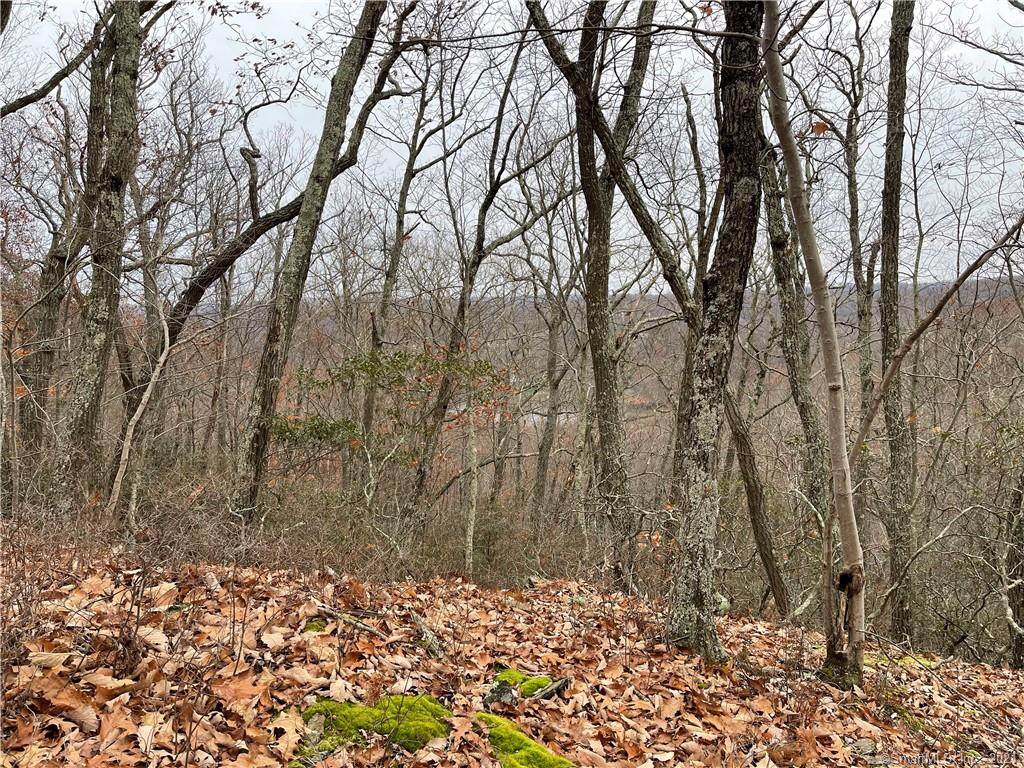 471 Skyline Ridge Road - Photo 1