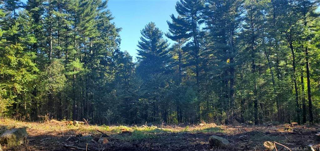 844 Shenipsit Lake Road - Photo 1