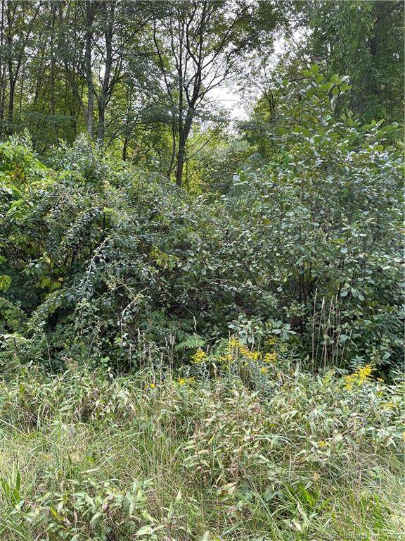 0 North Road - Photo 1