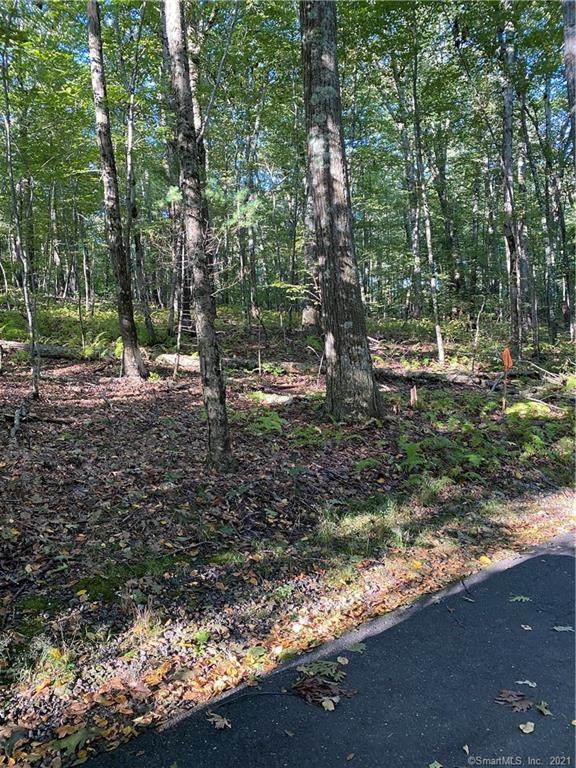Lot 1 Lake Drive Extension - Photo 1