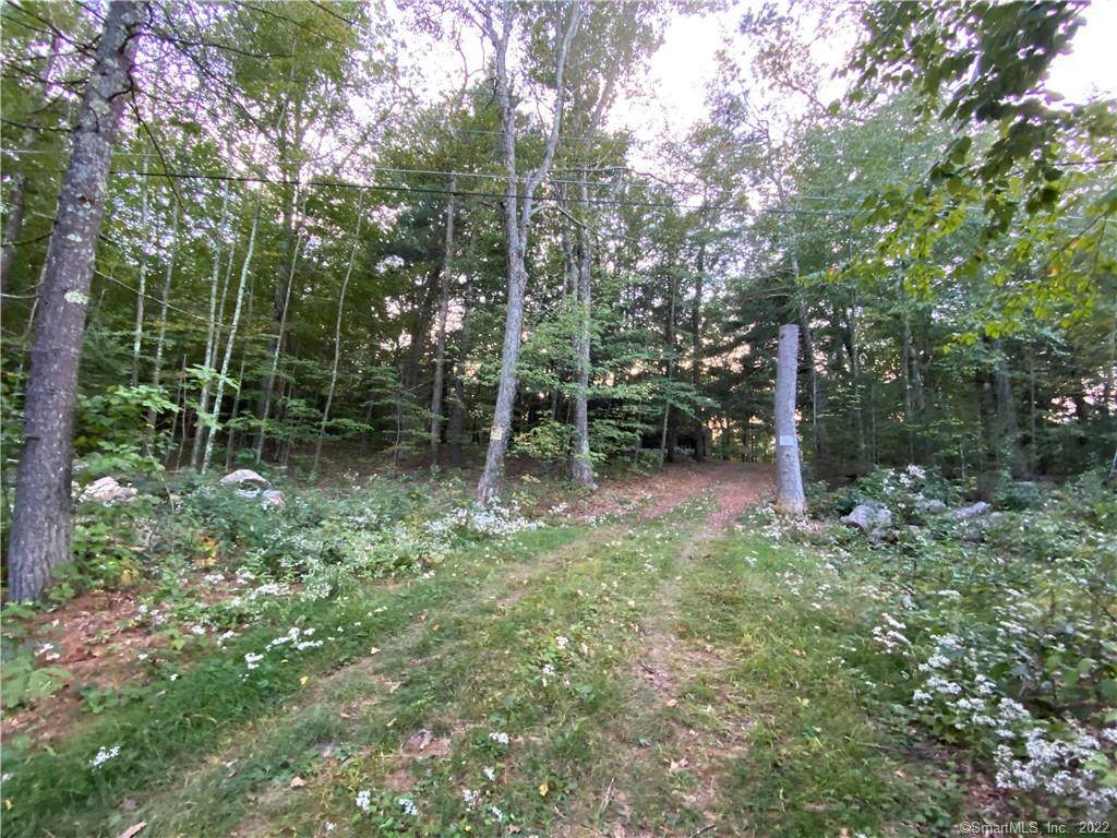 19 Potter Road - Photo 1