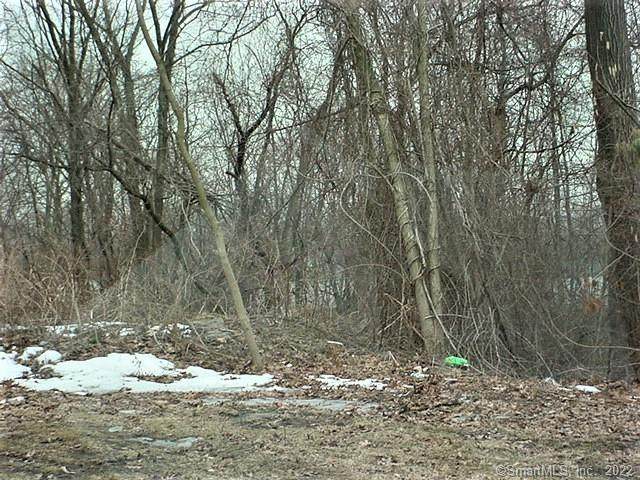 65 Agnes Street - Photo 1