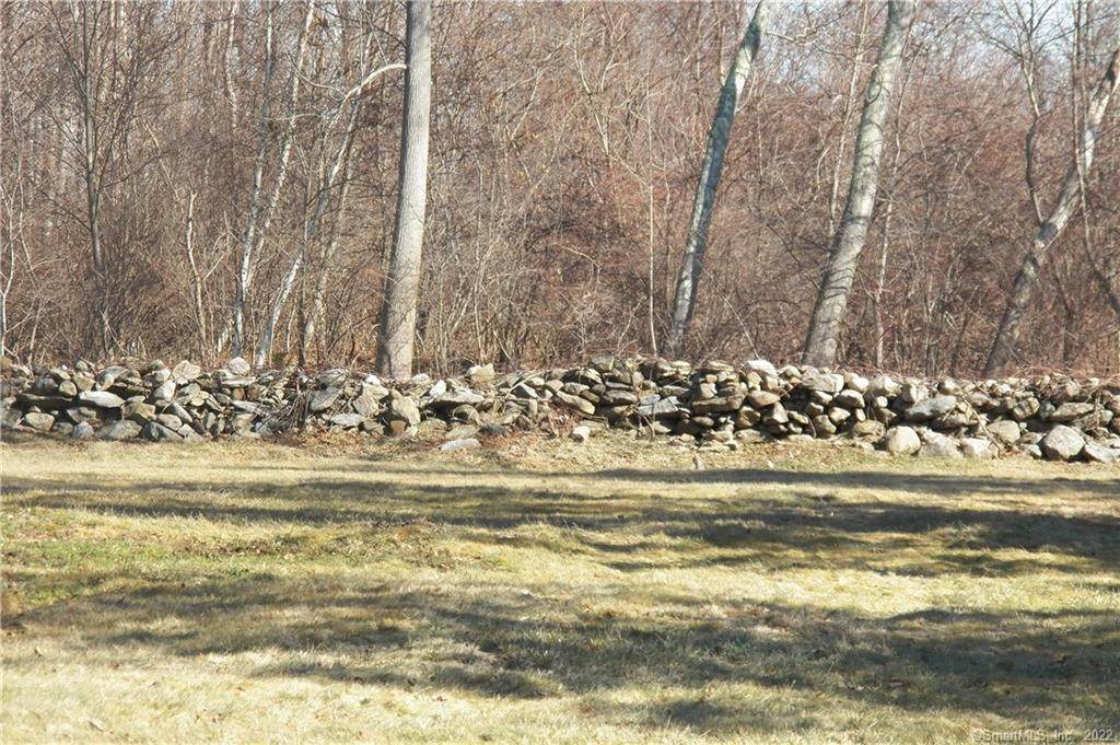 629 Bethmour Road - Photo 1