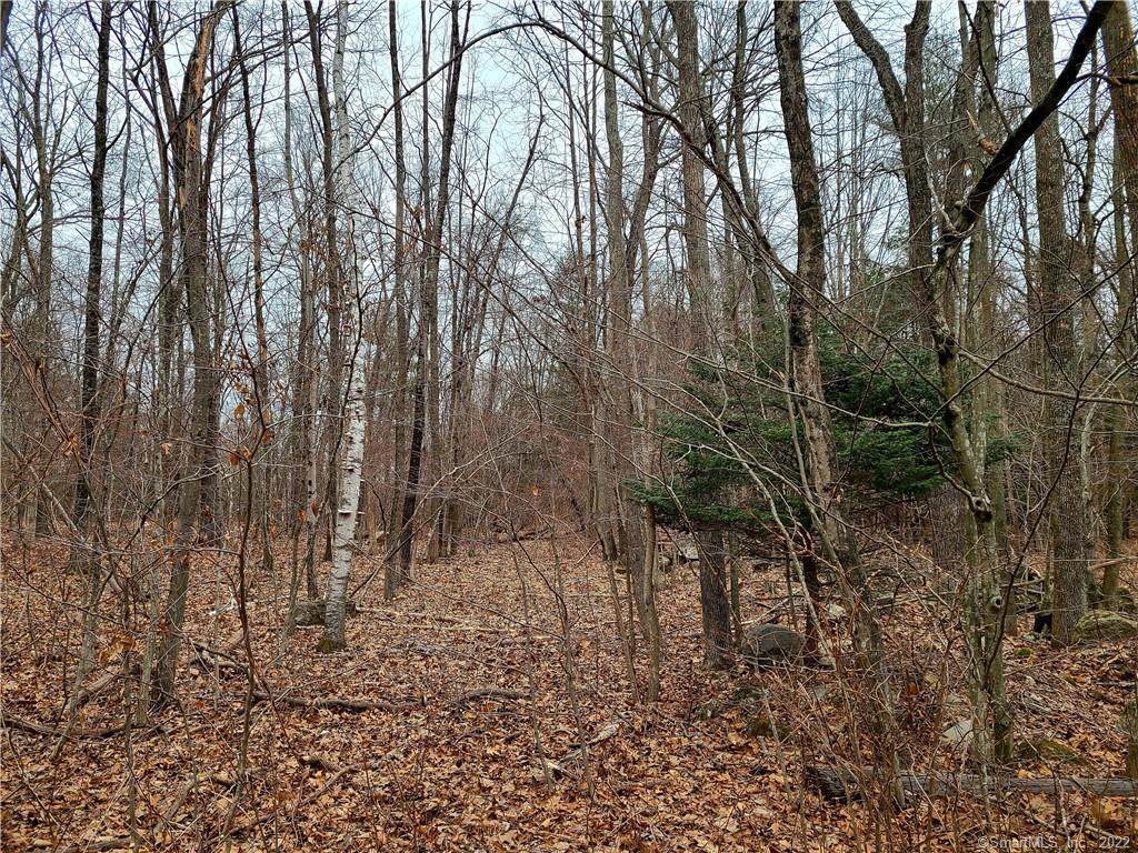 10 Cedar Swamp Road - Photo 1
