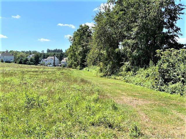 00 Accornero Lane - Photo 1
