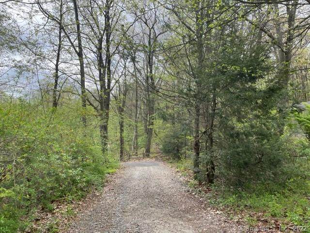 0 Sally Burr Road - Photo 1