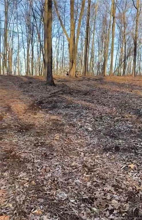 124 Liney Hall Lane - Photo 1