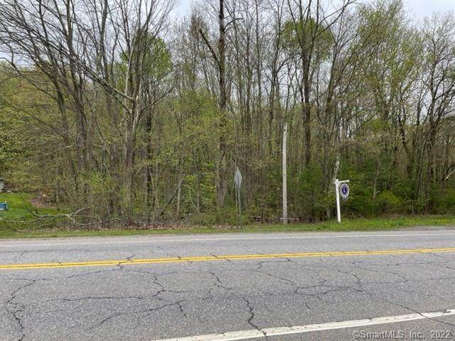 3 Litchfield Road - Photo 1