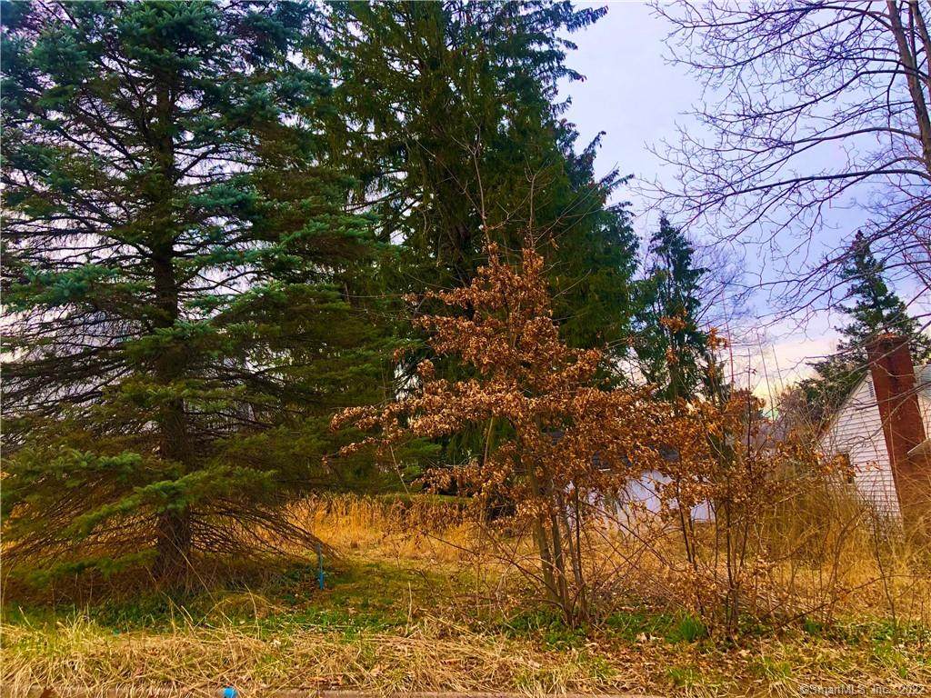 0 Ridge Road - Photo 1