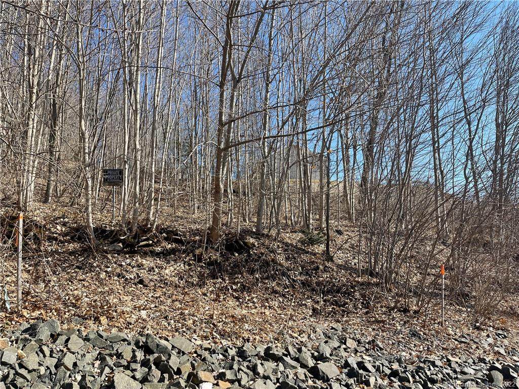 170 Coles Road - Photo 1