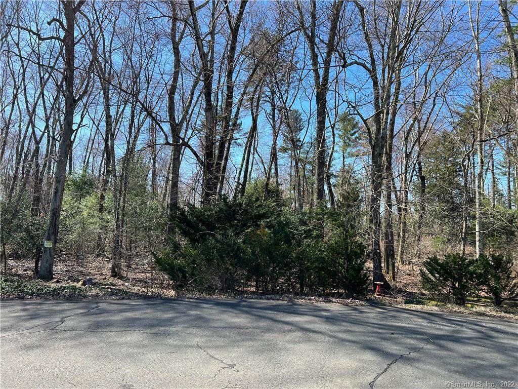 00 Town Farm Road - Photo 1