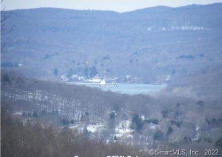 0 Dish Mill Road - Photo 1