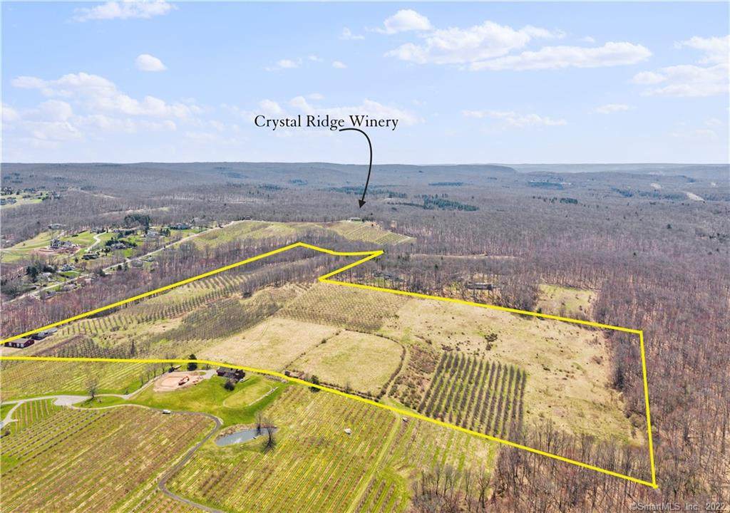460 Matson Hill Road - Photo 1
