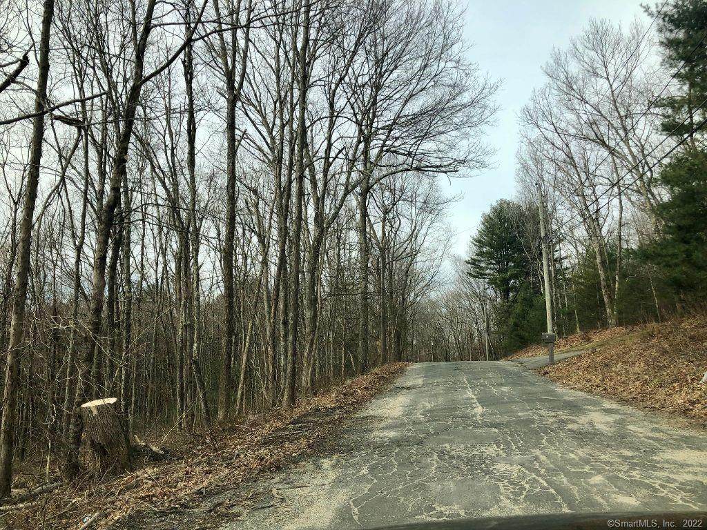 55 Lane Hill Road - Photo 1