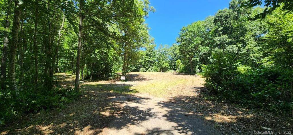 41 Shawondassee Drive - Photo 1