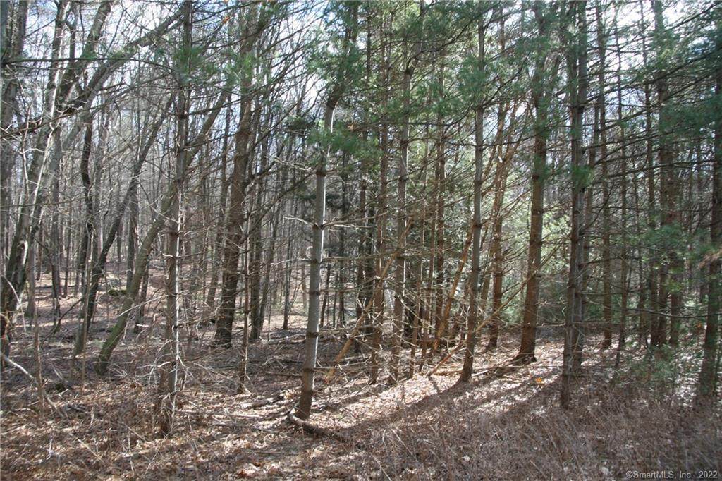 Lot 9 Greenfield Lane - Photo 1
